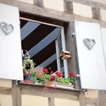 Appartement Renove A Colmar Avec Jardin Et Terrasse - Fr-1-722-11